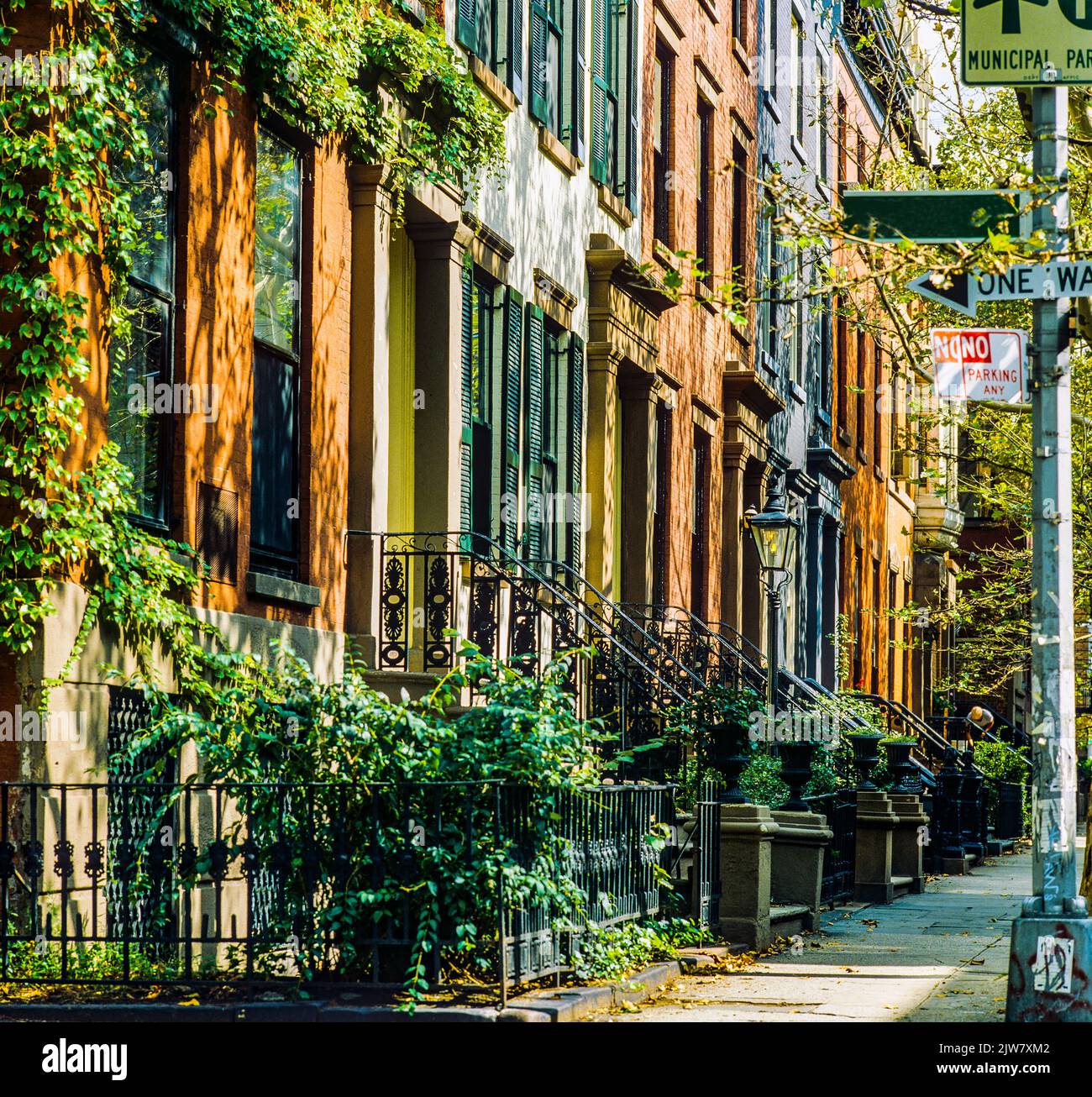 New York, 1980s, row of brownstone houses, front gardens, stoops, residential neighbourhood, Brooklyn Heights, New York City, NYC, NY, USA, Stock Photo