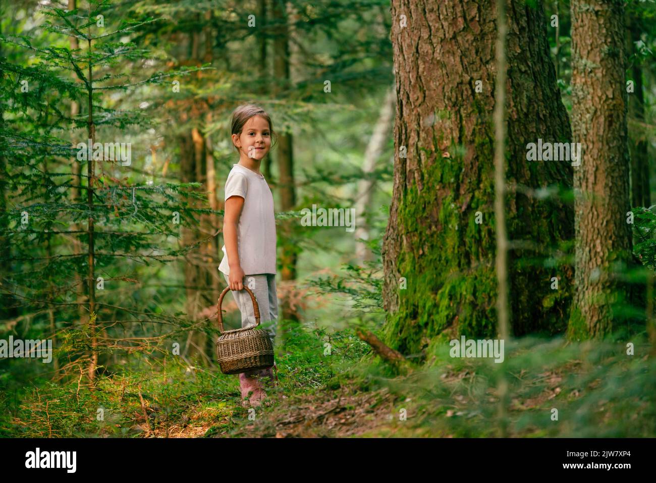 Little girl with a basket is smiling next to a tree. The concept of a healthy life and gathering fruits in the forest Stock Photo