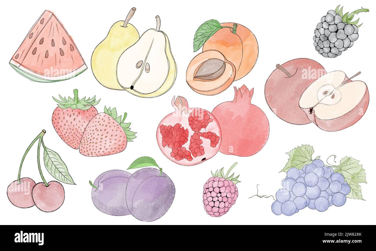 Big set of fruits and berries - hand drawn watercolor illustration ...