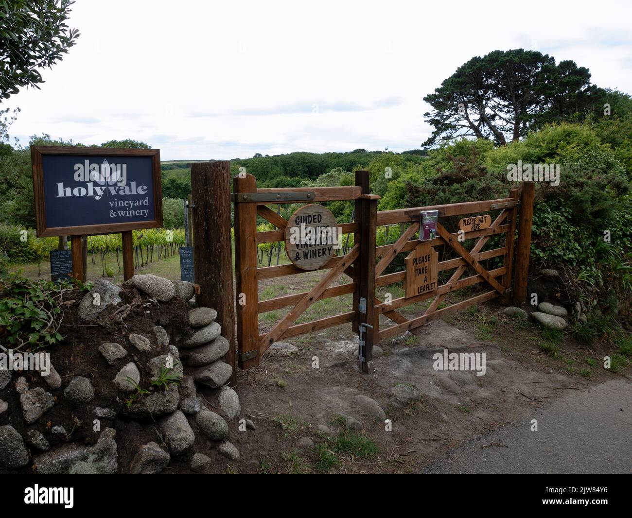 Holy Vale Vineyard, St Mary's, Isles of Scilly, Cornwall, England, UK. Stock Photo