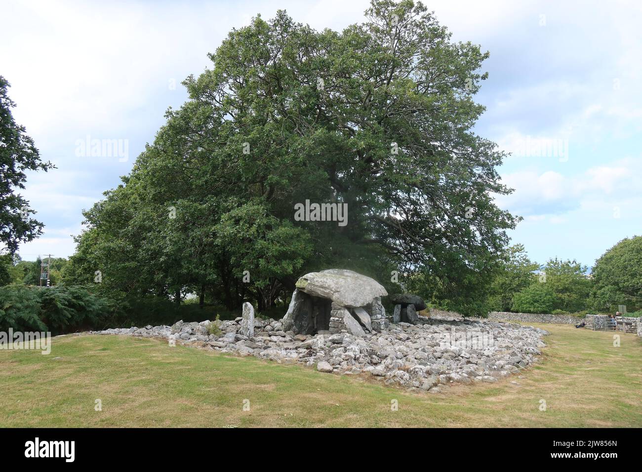 Tica Mulinello Anello Collegamento Triangolare In Acciaio Inox - Foto 13