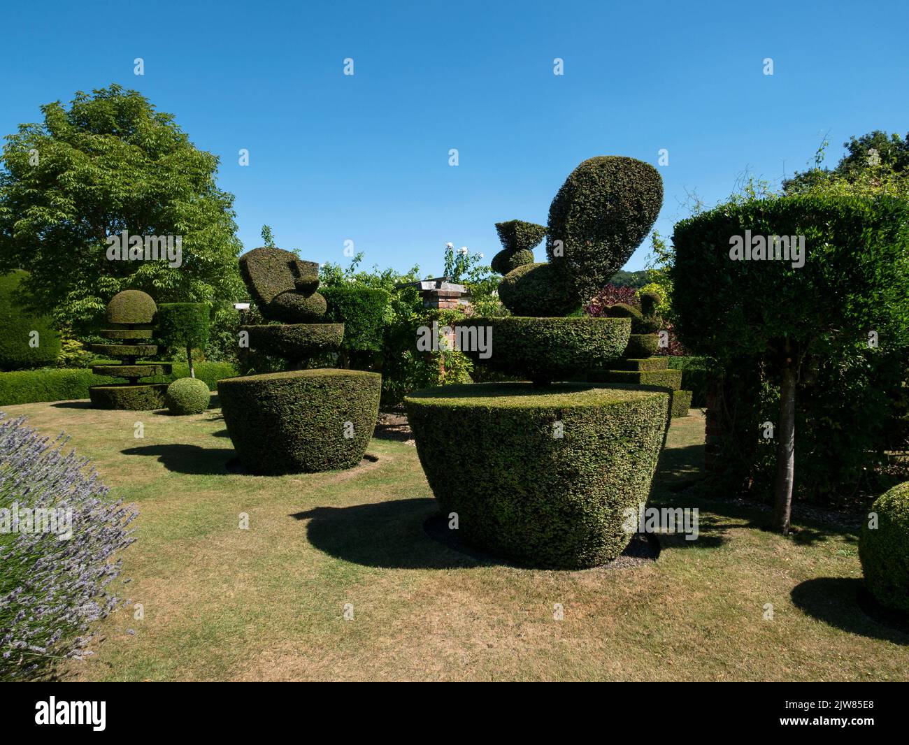 Topiary in the gardens, Felley Priory, Nottingham, Nottinghamshire, England, UK. Stock Photo