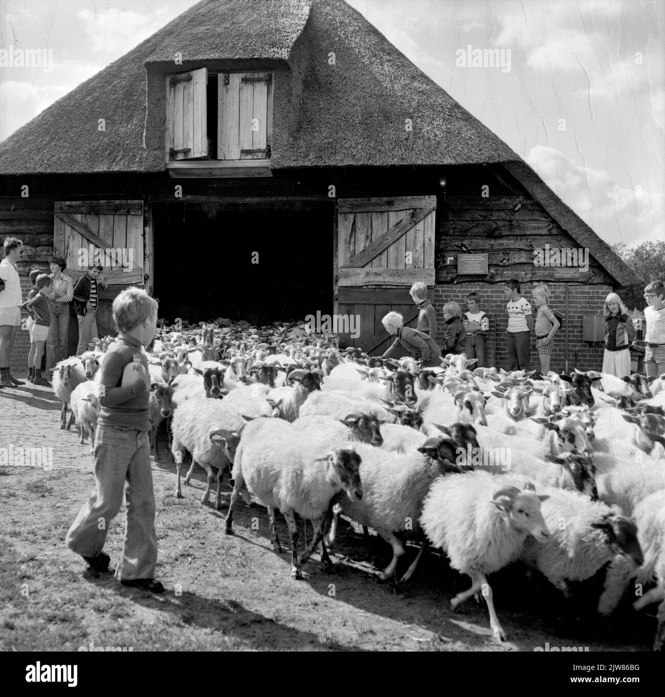 Image of children with a sheepfold with a herd of sheep.n.b. Probably ...