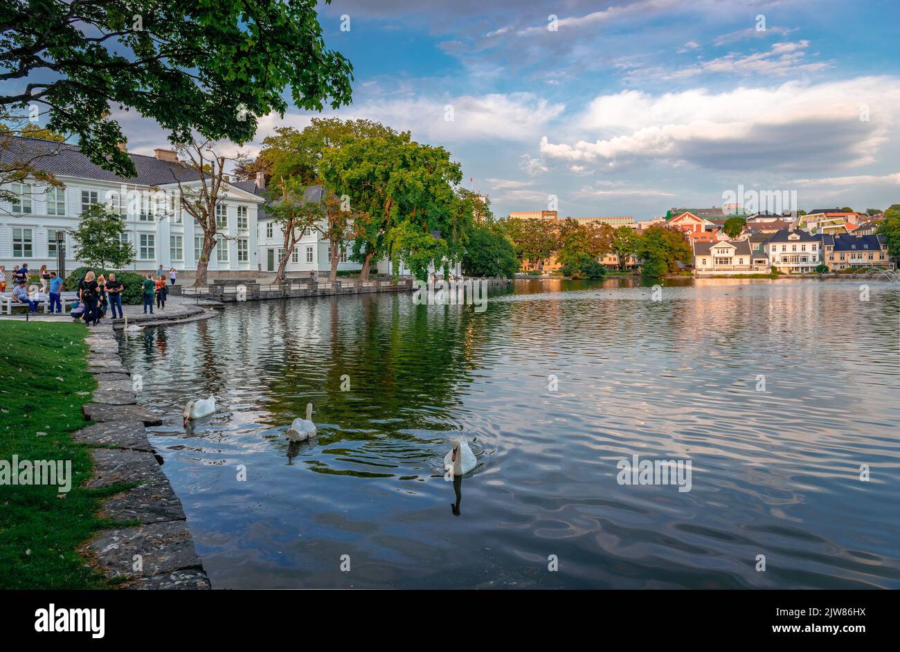 Stavanger, Norway - August 14 2022: View of Lake Breiavatnet in the evening, with swans. Stock Photo