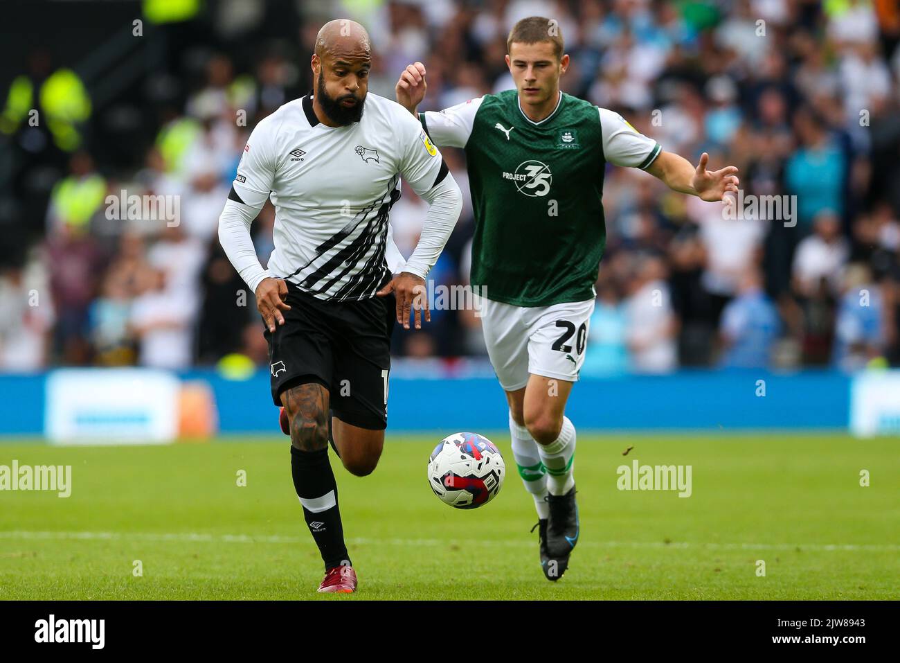 David randell hi-res stock photography and images - Alamy