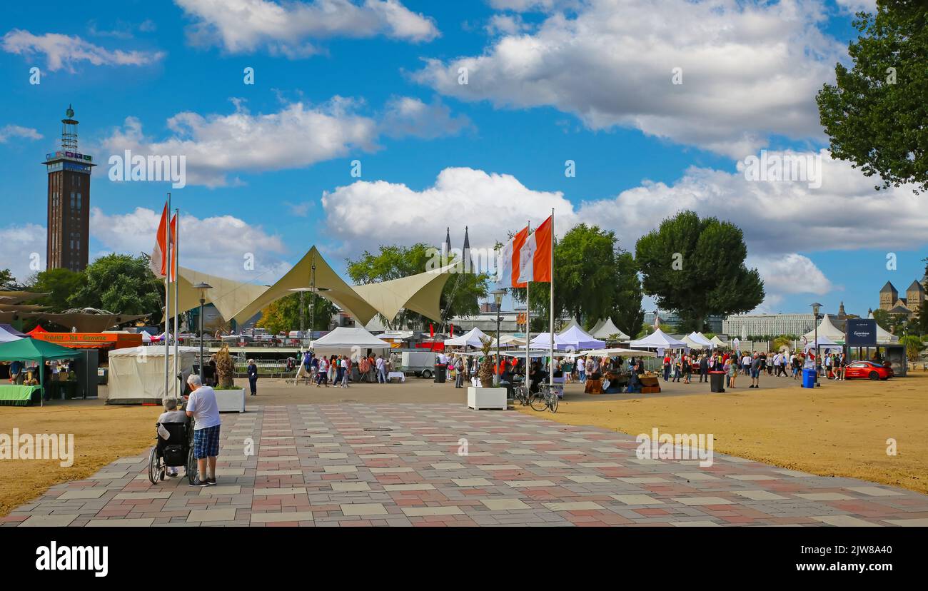 Cologne (Fischmarkt, Tanzbrunnen) - July 29. 2022: Sunday fish market at rhine park in summer ...