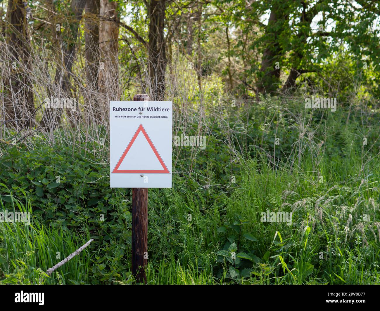 A sign in the forest meaning quiet zone for wild animals Stock Photo