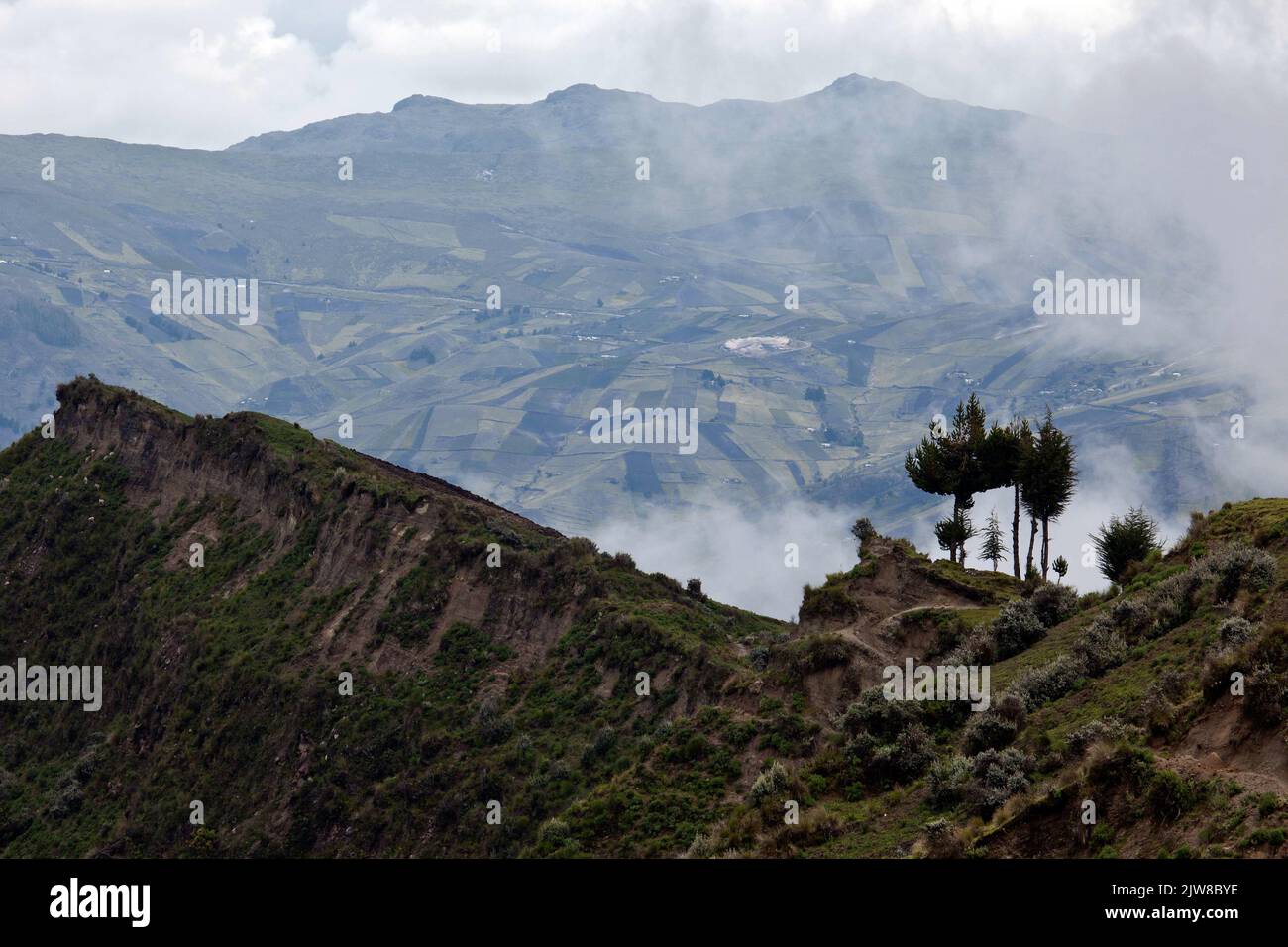 A beautiful view of a forest against a background of the snowy mountain of Cotopaxi in Ecuador Stock Photo
