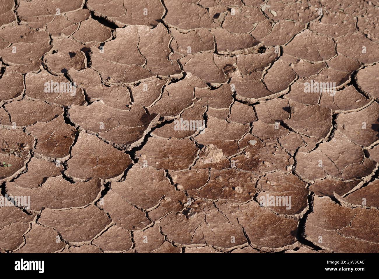 Stress cracks in a fresh Puddle Stock Photo