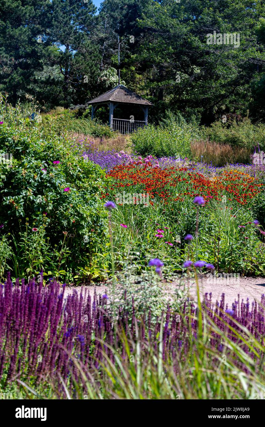 RHS Hyde Hall, Royal Horticultural Society, Clover Hill Borders Stock