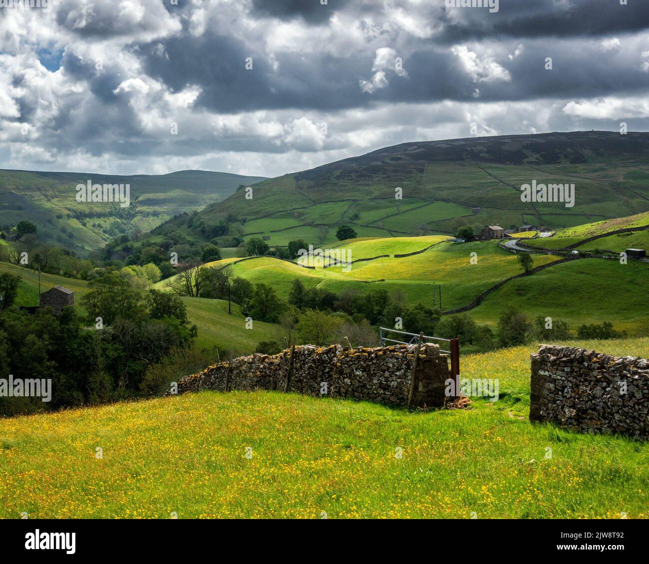 Stunning view of sunlit Swaledale, buttercup meadows and rolling hills with old drystone wall and barns. Yorkshire Dales National Park, England, UK Stock Photo
