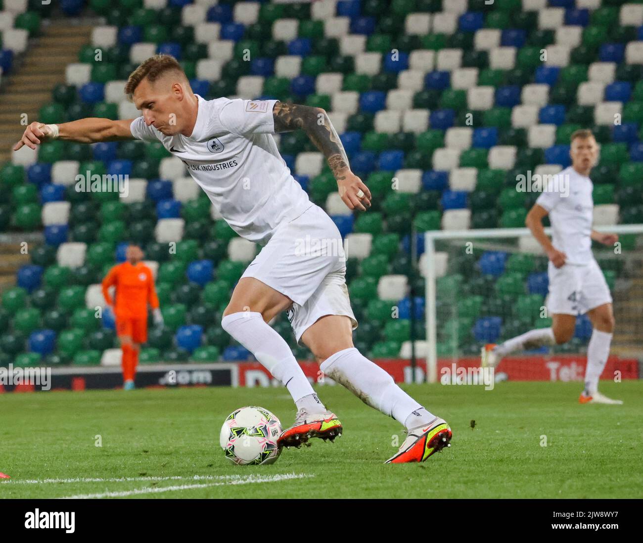 Mares petr rfs hi-res stock photography and images - Alamy