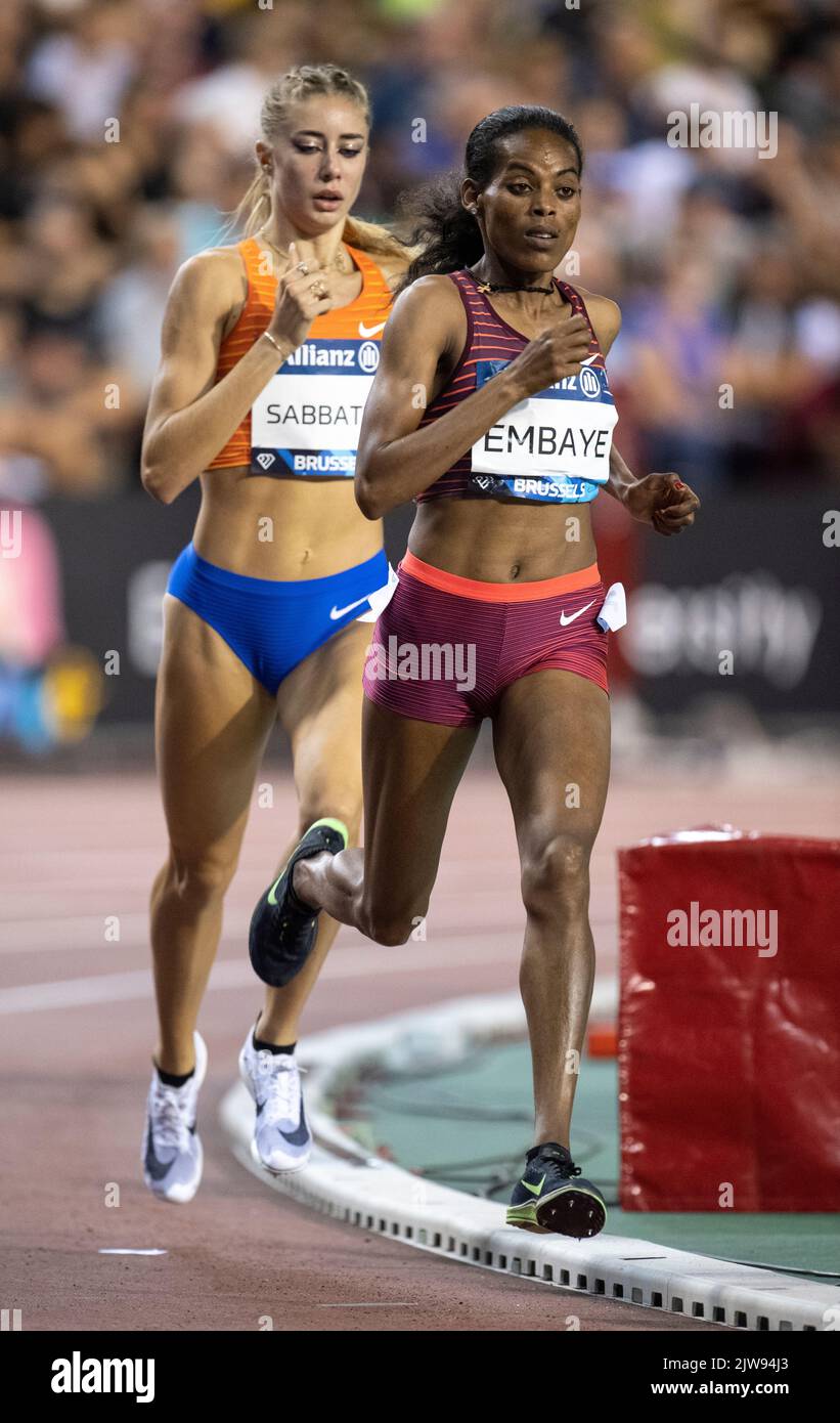 Axumawit Embaye of Ethiopia competing in the women's 1500m during the Allianz Memorial Van Damme 2022, part of the 2022 Diamond League series at King Stock Photo