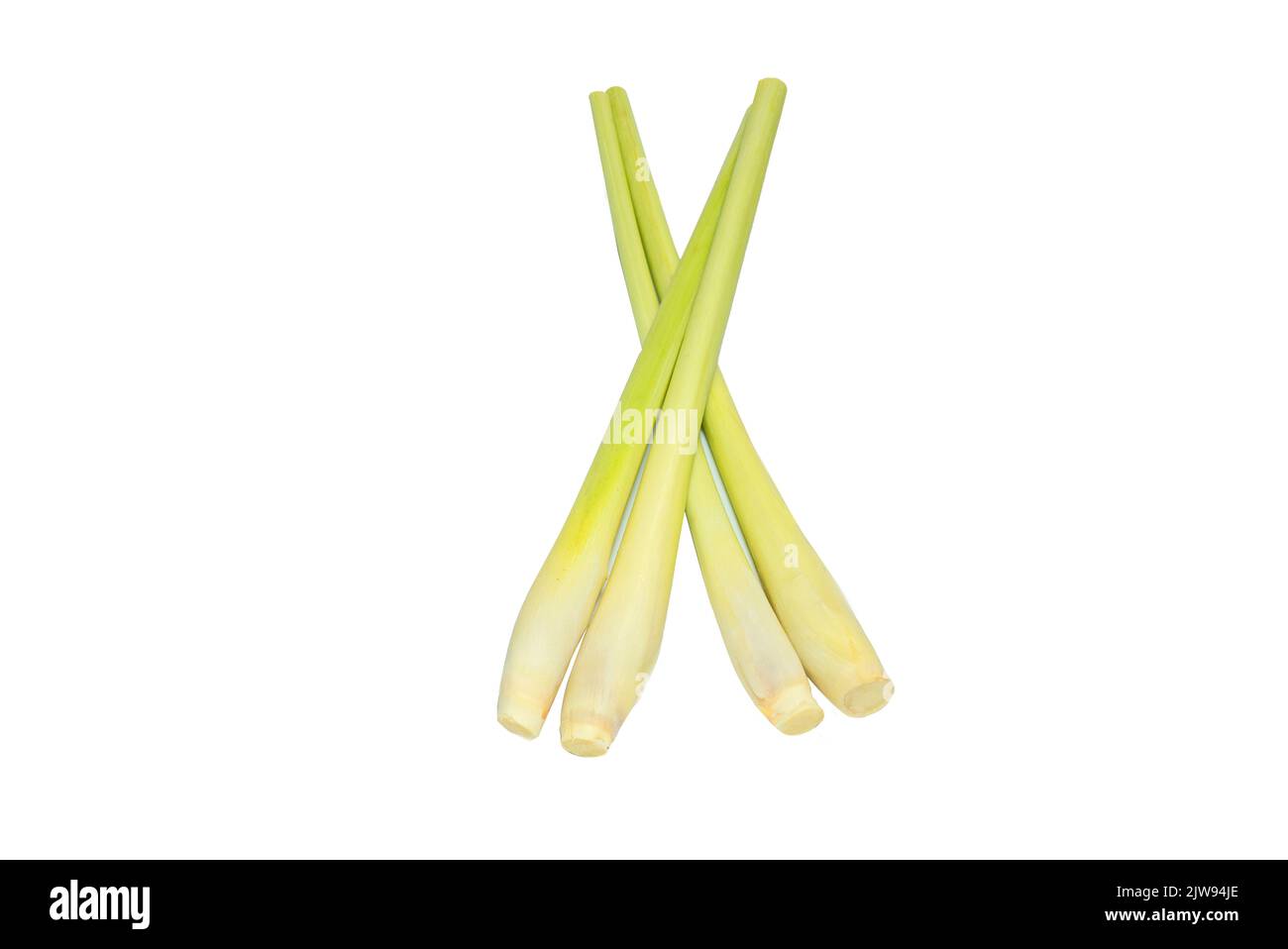 Lemon Grass or Lapine Lemon grass, isolated on white background is used as a food ingredient. because there are many types of essential minerals Stock Photo