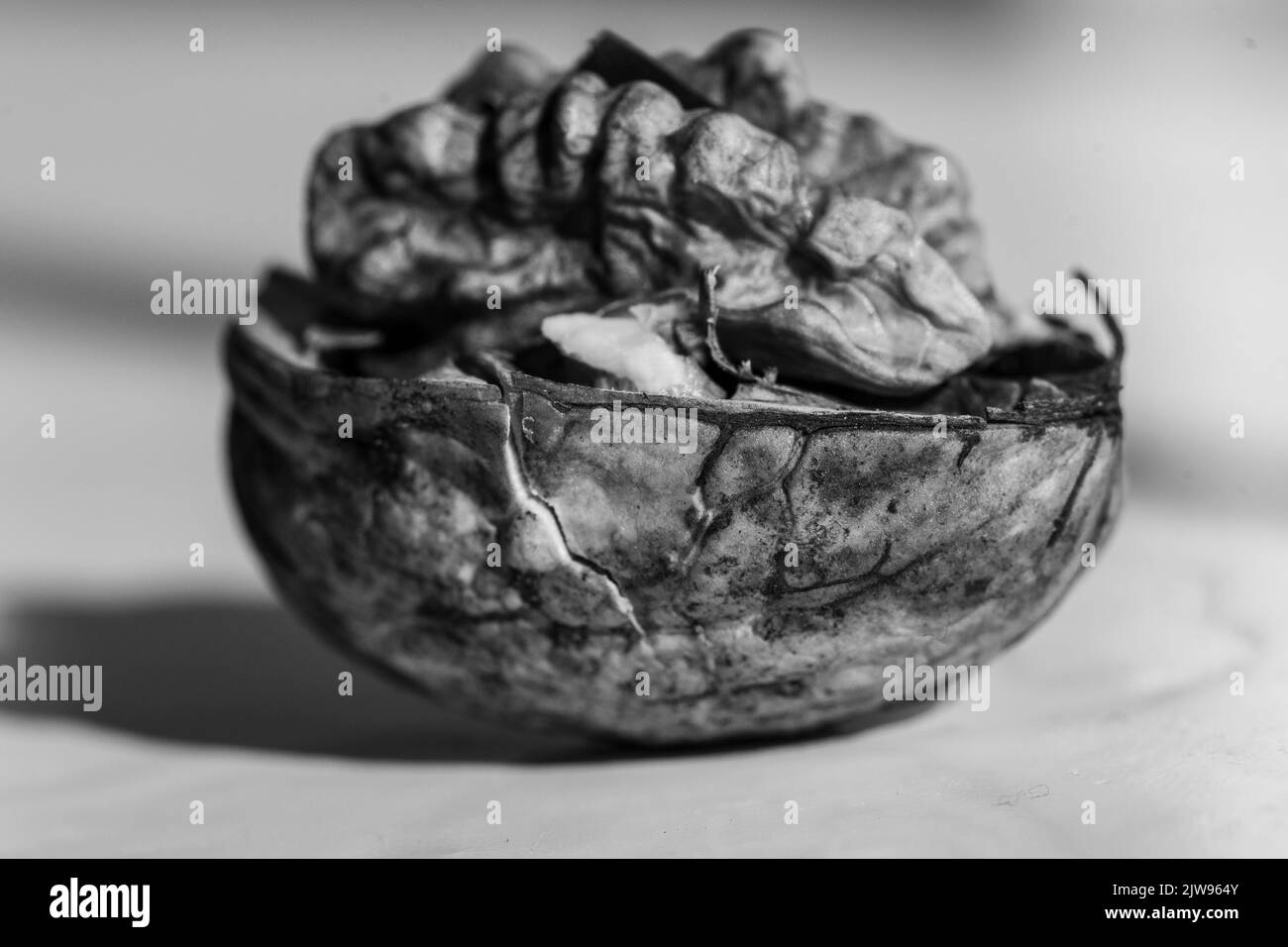 In a nut shell Stock Photo Alamy