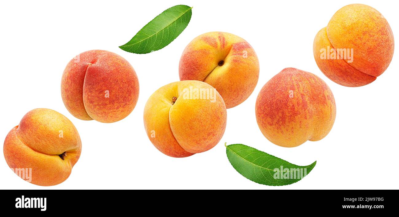 Falling apricots isolated on white background Stock Photo