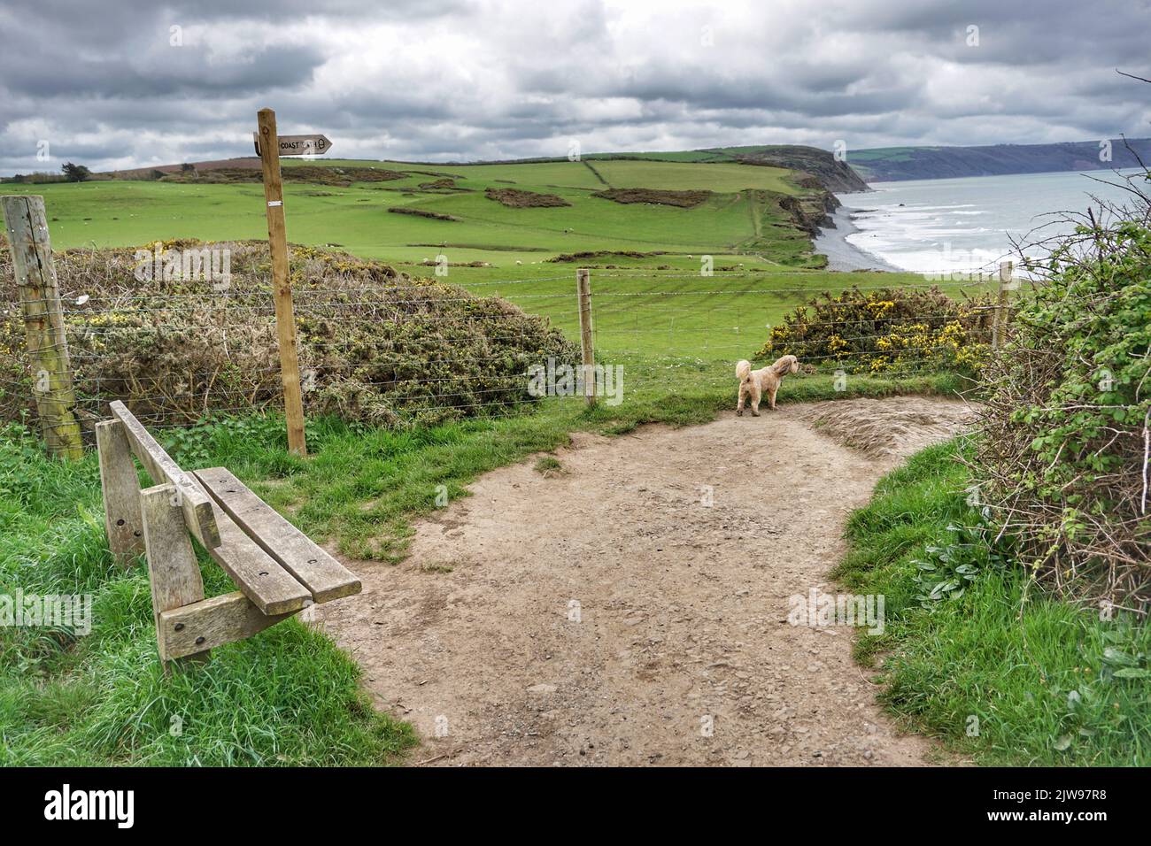 The North Devon Coast Path near Westward Ho! Stock Photo