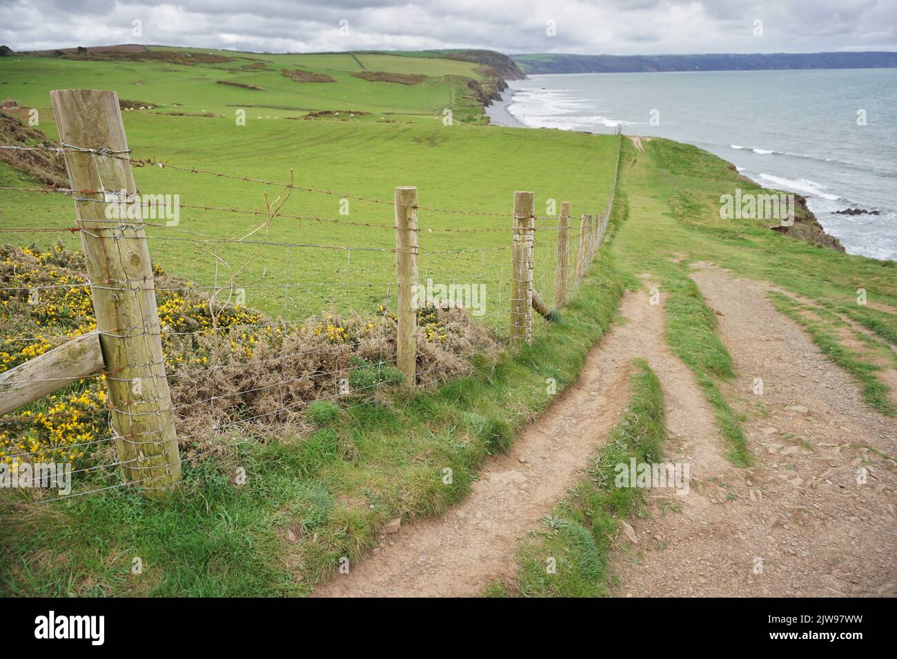 Norht Devon Coast path Stock Photo