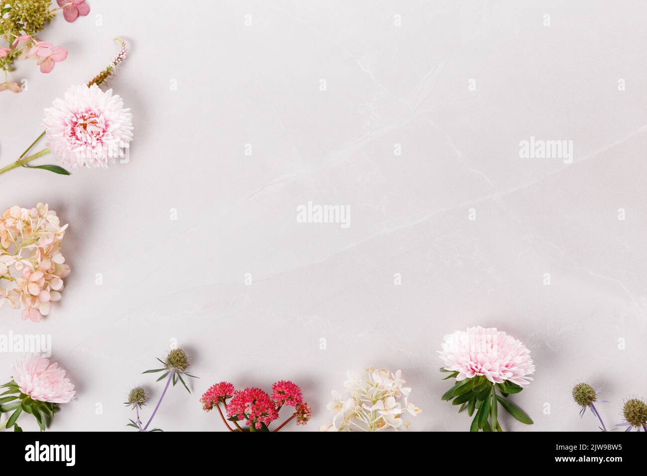 Autumn creative composition, frame from aster hydrangea flowers on a gray marble background. Autumn, fall background. Stock Photo