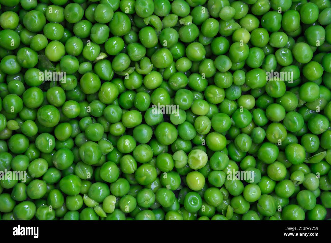 Abstract Background Texture Of Fresh Garden Peas Stock Photo