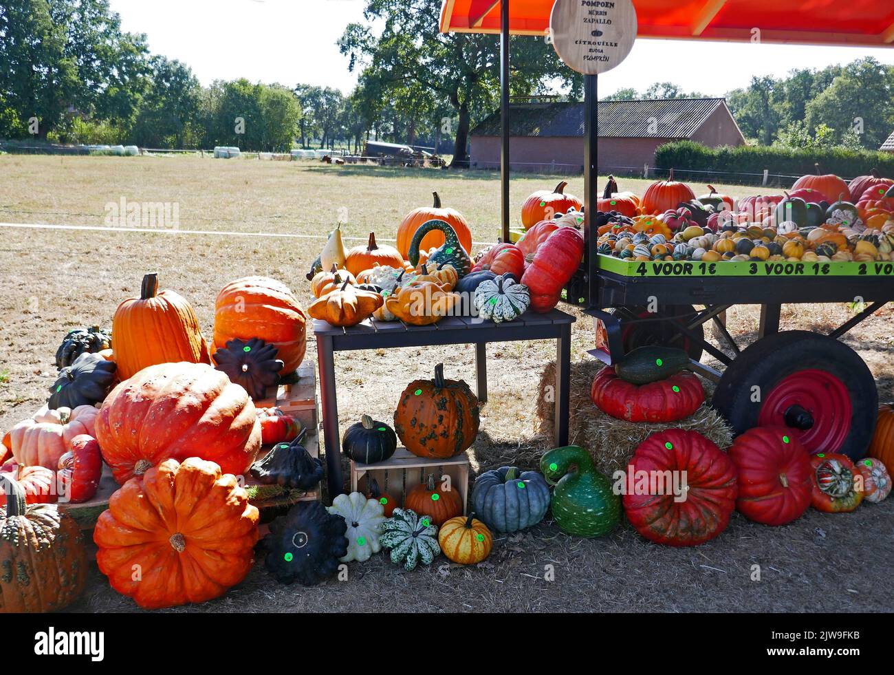 A pumpkin sales booth in the Netherlands. The selling is based on trust. The prices are on the pumpkins and there is a piggy-bank to put the money in. Stock Photo