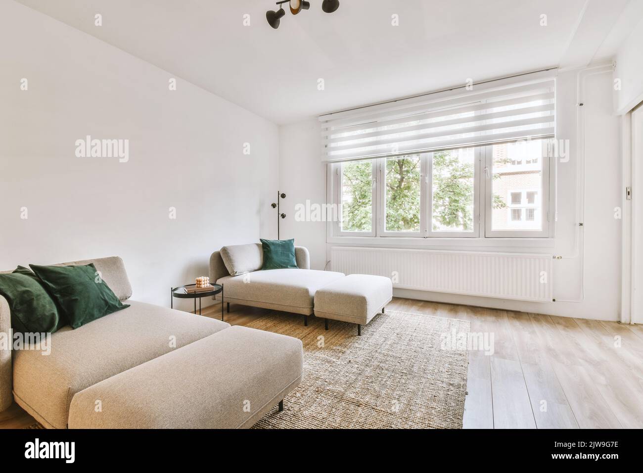 Carpet Living Room Top View 3d Rendering illustrations - Minimalist Style Living Room And Pool Area