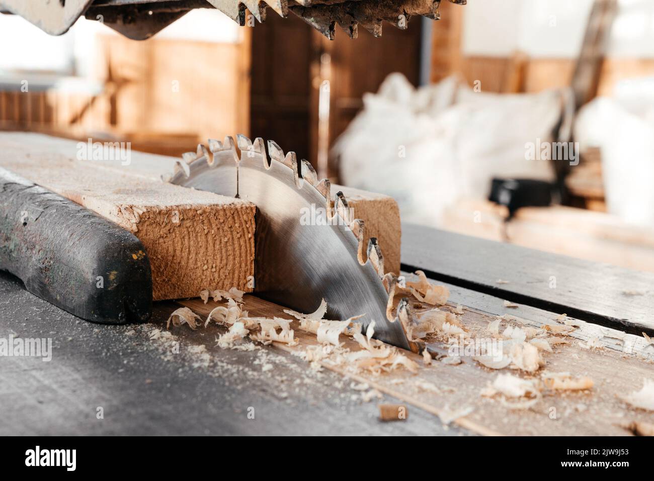 Woodworking. Circular saw cutting pine board Stock Photo Alamy