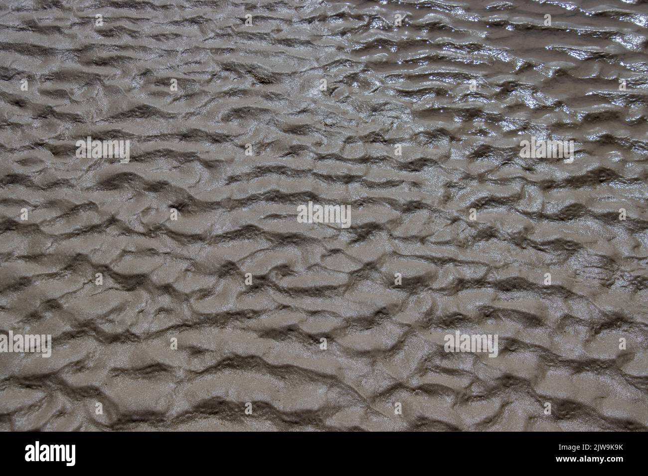 Wet abstract sand pattern for background Stock Photo