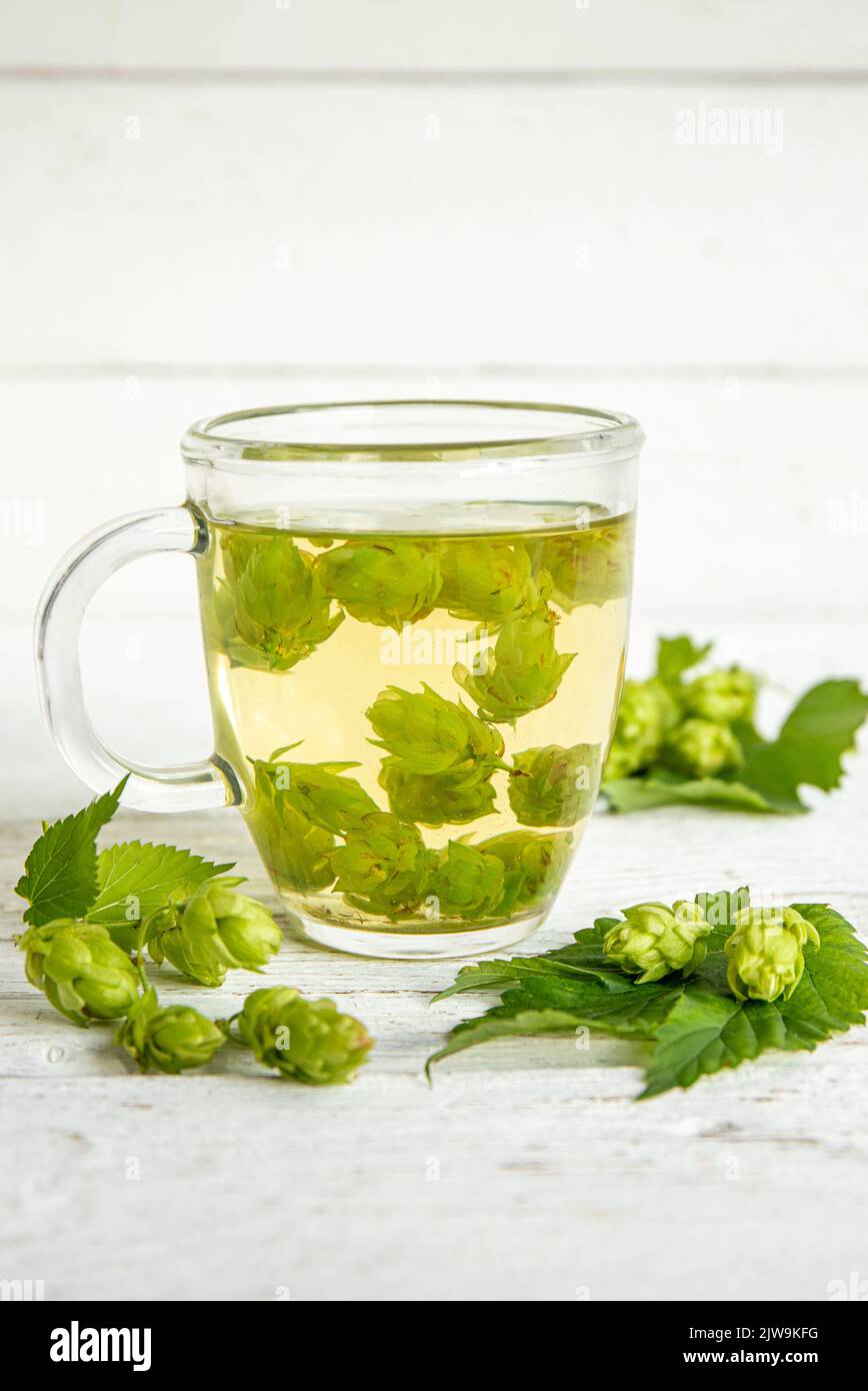 Herbal medicinal tea drink made of Humulus lupulus, the common hop or hops. Hops flowers with tea cup on white wood background, indoors home. Stock Photo