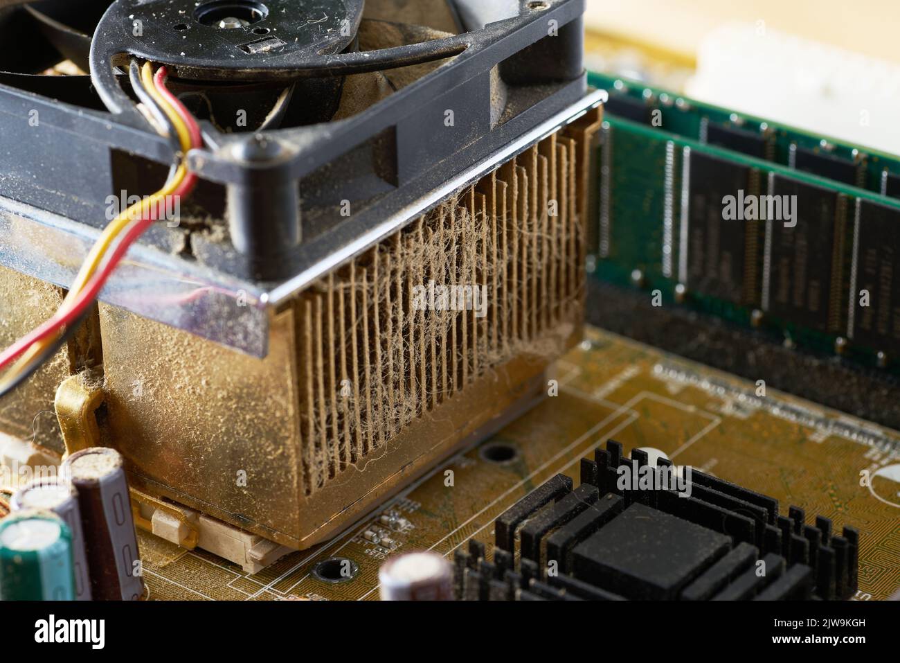 A thick layer of dust covers the internal electronic components of the
