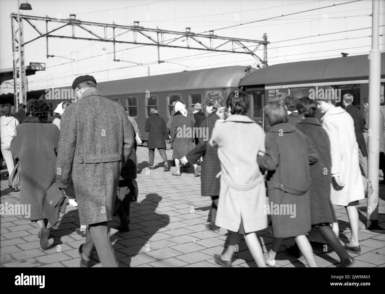 Image of outing travelers from an extra train at the N.S. station Hoek van Holland in Hoek van Holland. Stock Photo