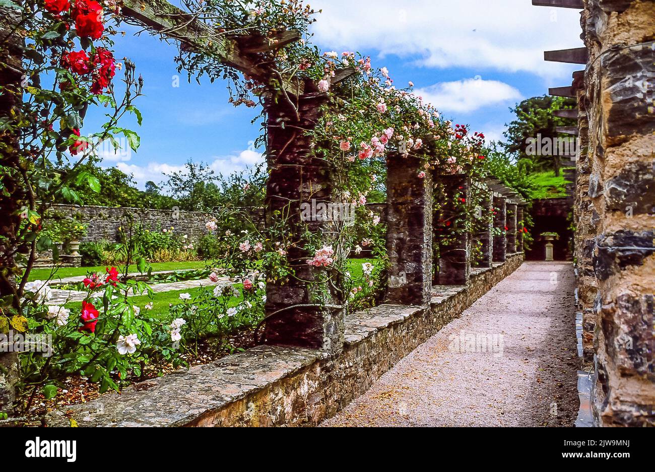 Compoton Castle Compton castle in summer hi-res stock photography and images - Alamy
