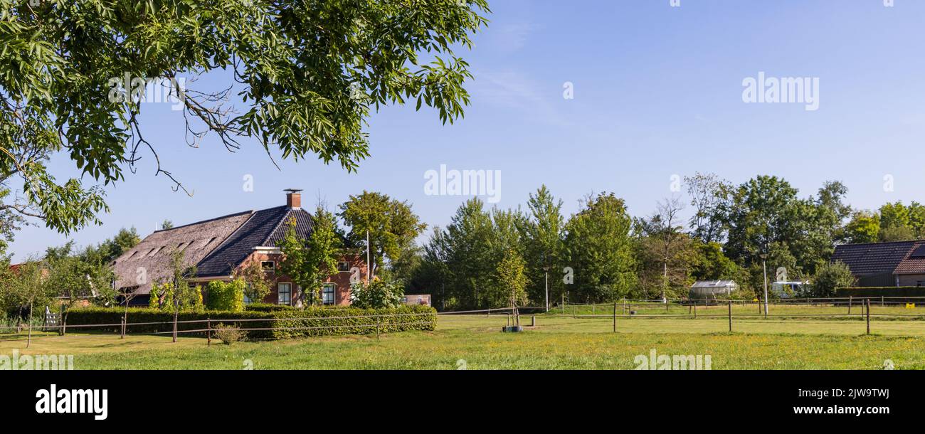 Traditional farm surrounded by old trees called Cazemier farm in
