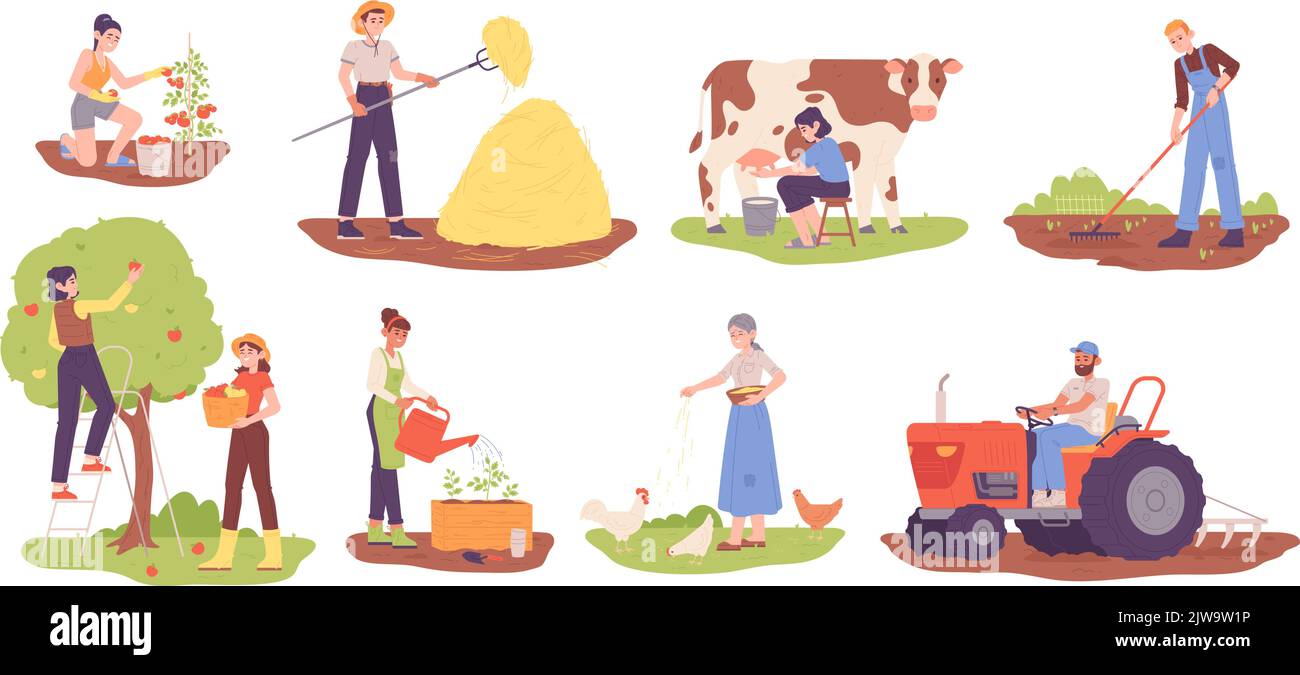 People farm job. Rural work on field farmers harvest, agricultural