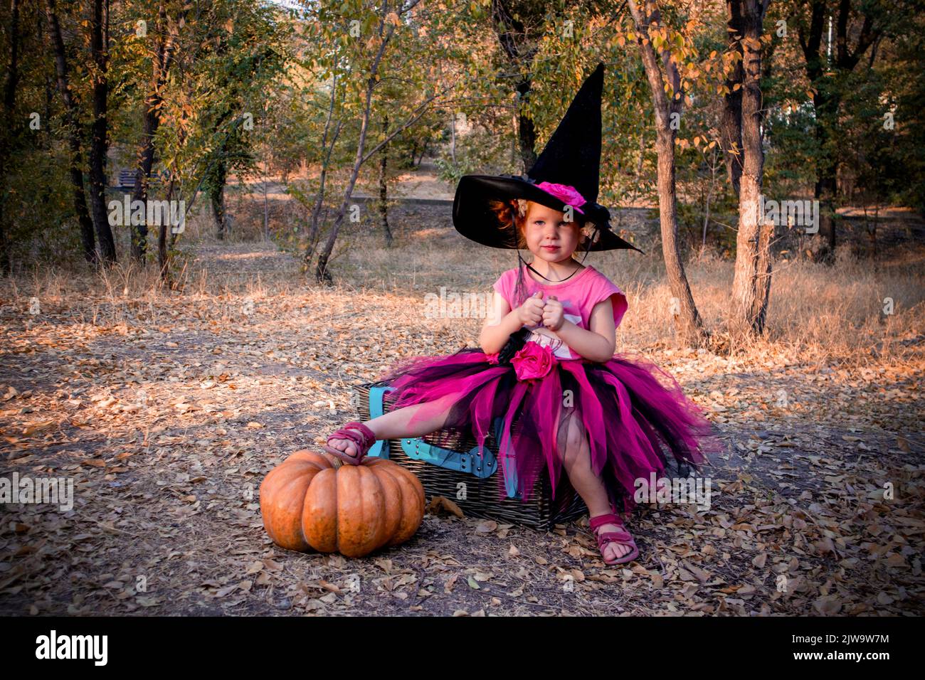 a little redhaired girl in a witch costume is sitting on a picnic