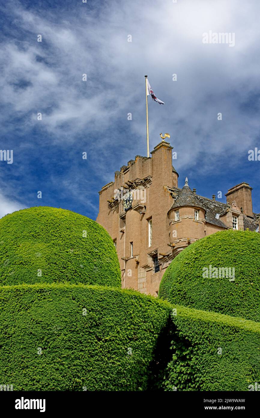 CRATHES CASTLE BANCHORY SCOTLAND THE HARLED 16C CASTLE UNIQUE YEW TREE TOPIARY IN SUMMER Stock Photo
