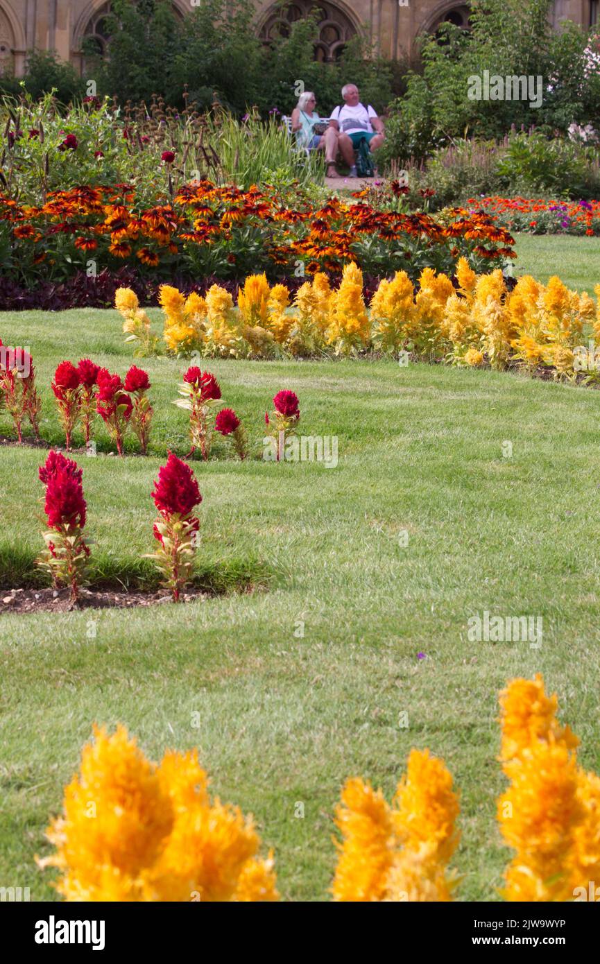 View of the Parterre Garden with the colourful celosia and rudbeckia flowers in bloom in autumn at Audley End House in Essex. Stock Photo