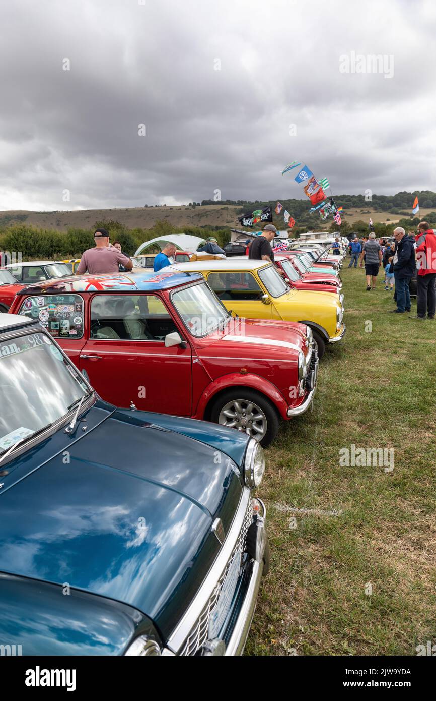 Row of Mini cars at the White Horse Classic & Vintage Vehicle Show, Westbury, Wiltshire, England, UK Stock Photo