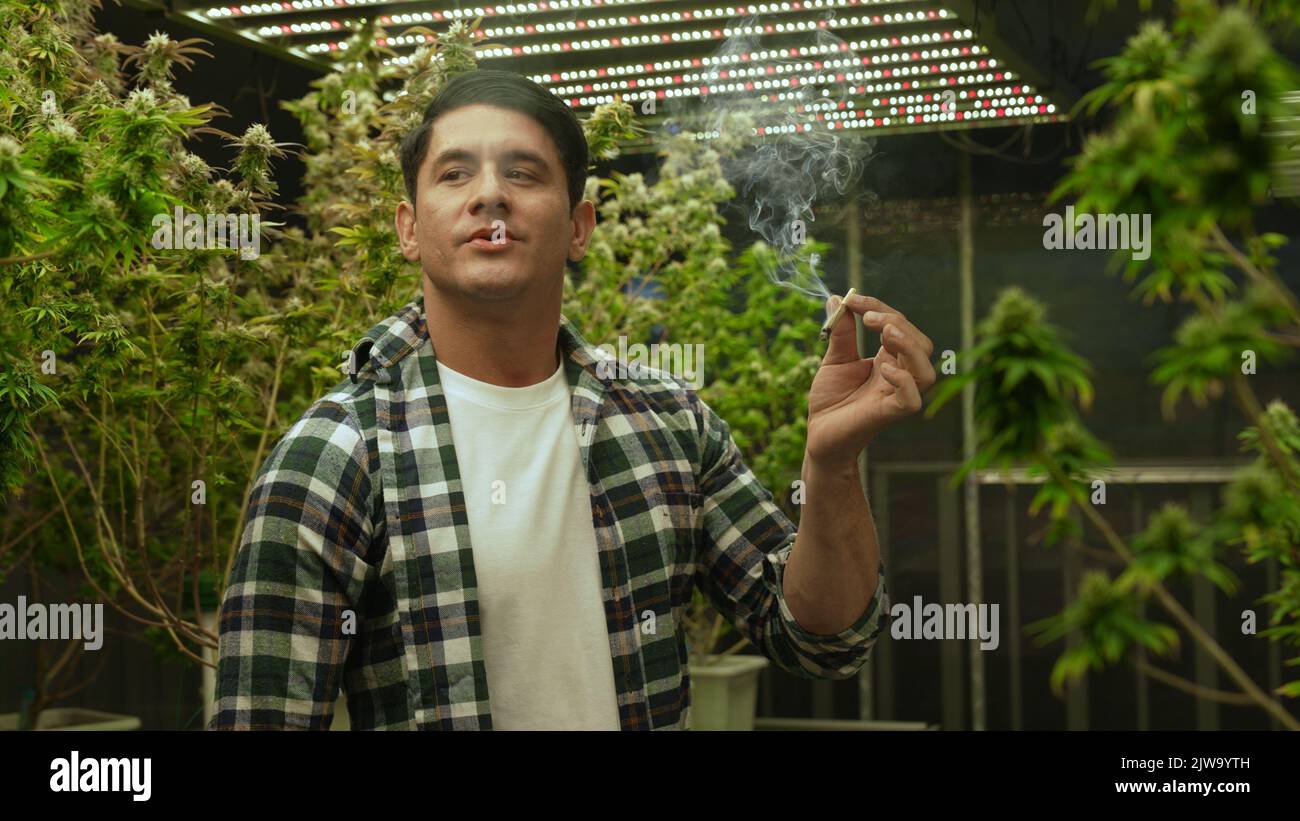 Marijuana farmer smoking rolled marijuana weed joint in curative
