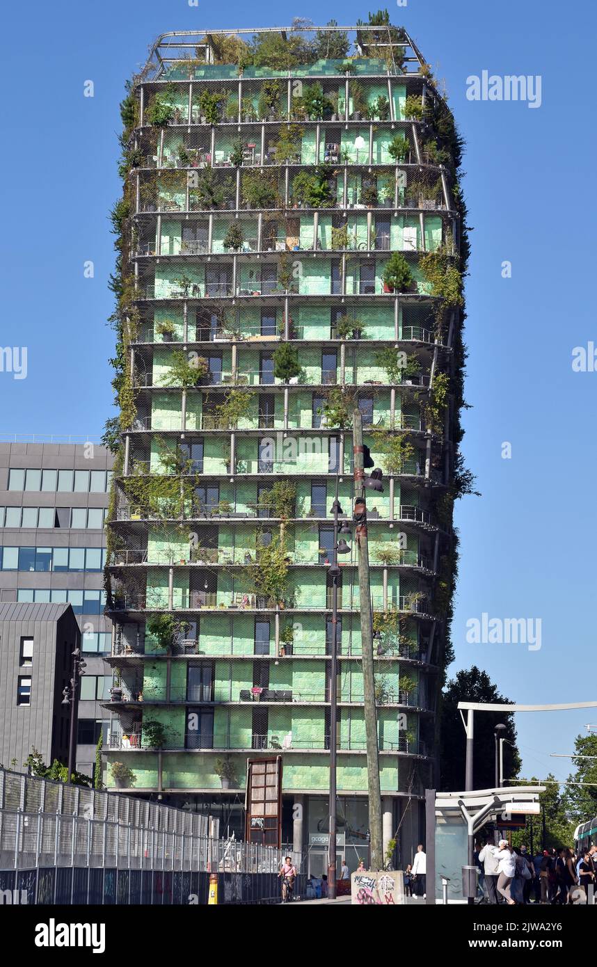 Sustainable Apartment Ideas: 18 Eco-Friendly Lifestyle Tips