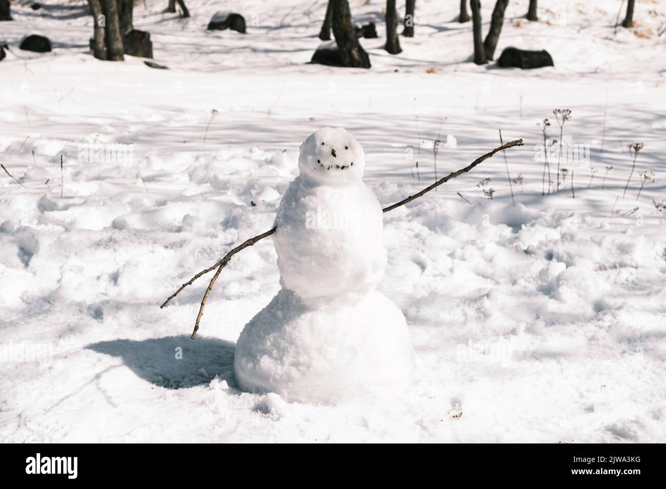 The snow man Stock Photo