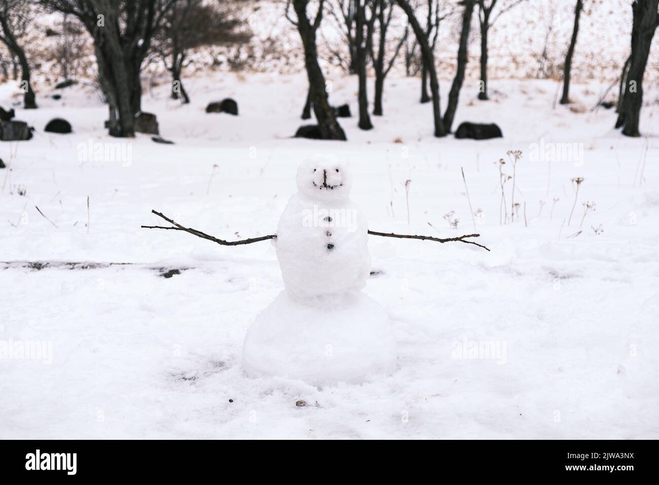 The snow man Stock Photo