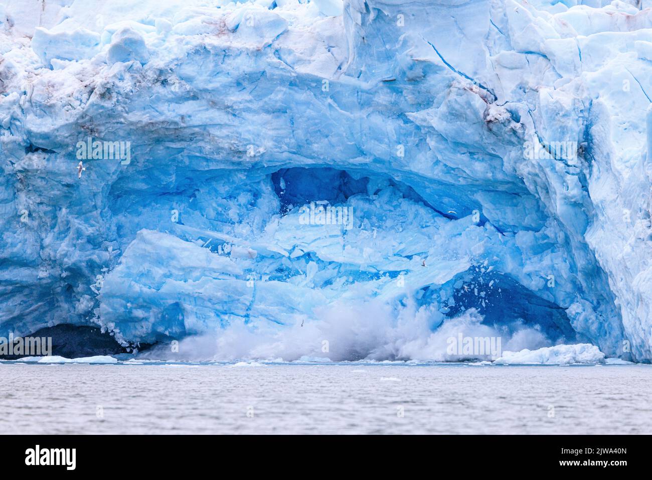 huge chunks of ice crash down into the sea with an enormous splash as the monacobreen glacier calves Stock Photo