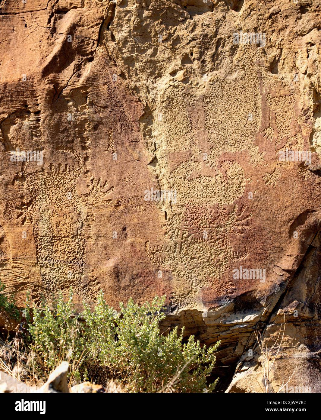 Petroglyphs rock art in Legend Rock State Archaeological Site, Wyoming - Several outlined and en toto pecked carved anthropomorphic forms are visible Stock Photo