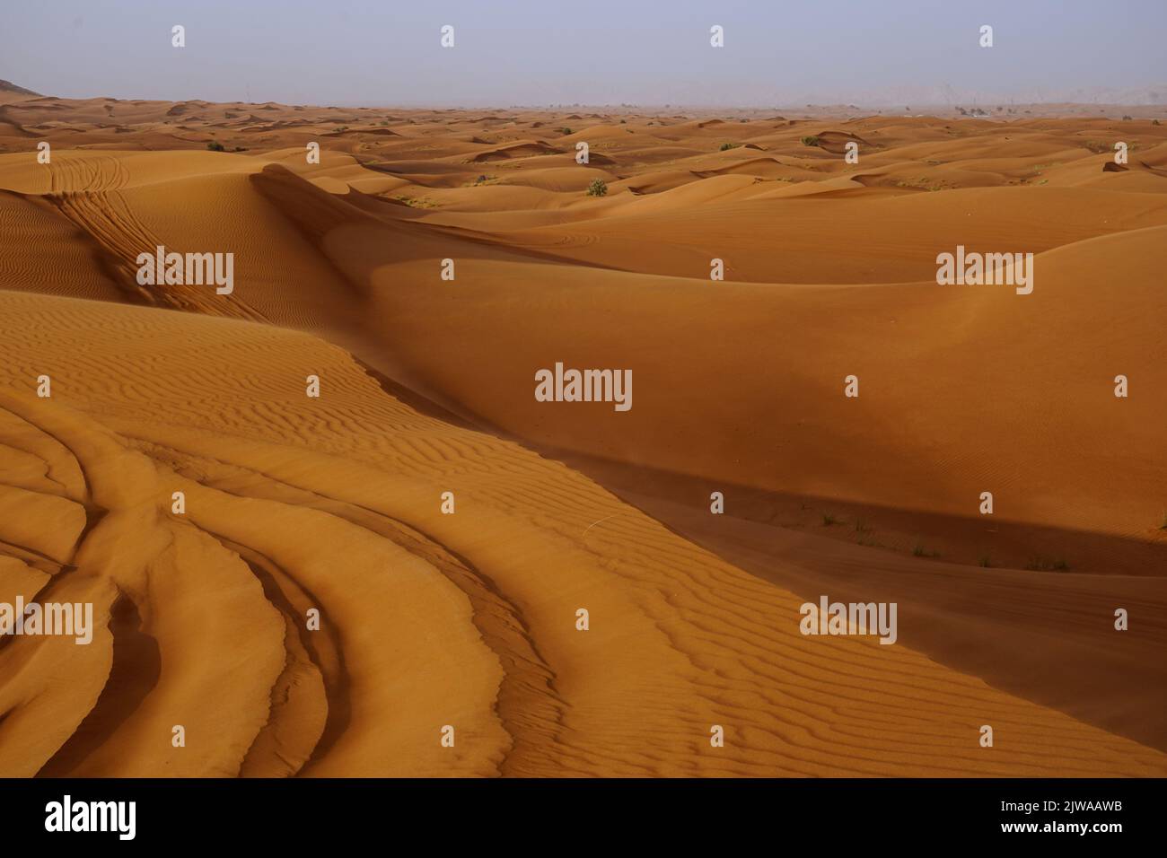 Landscape photo of Arabian desert . Stock Photo