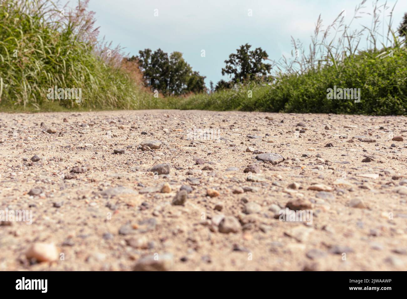 Low angle view on an gravel road leading to an unknonwn point in the forest. Diminishing perspective. Selective focus. Copy space. Stock Photo