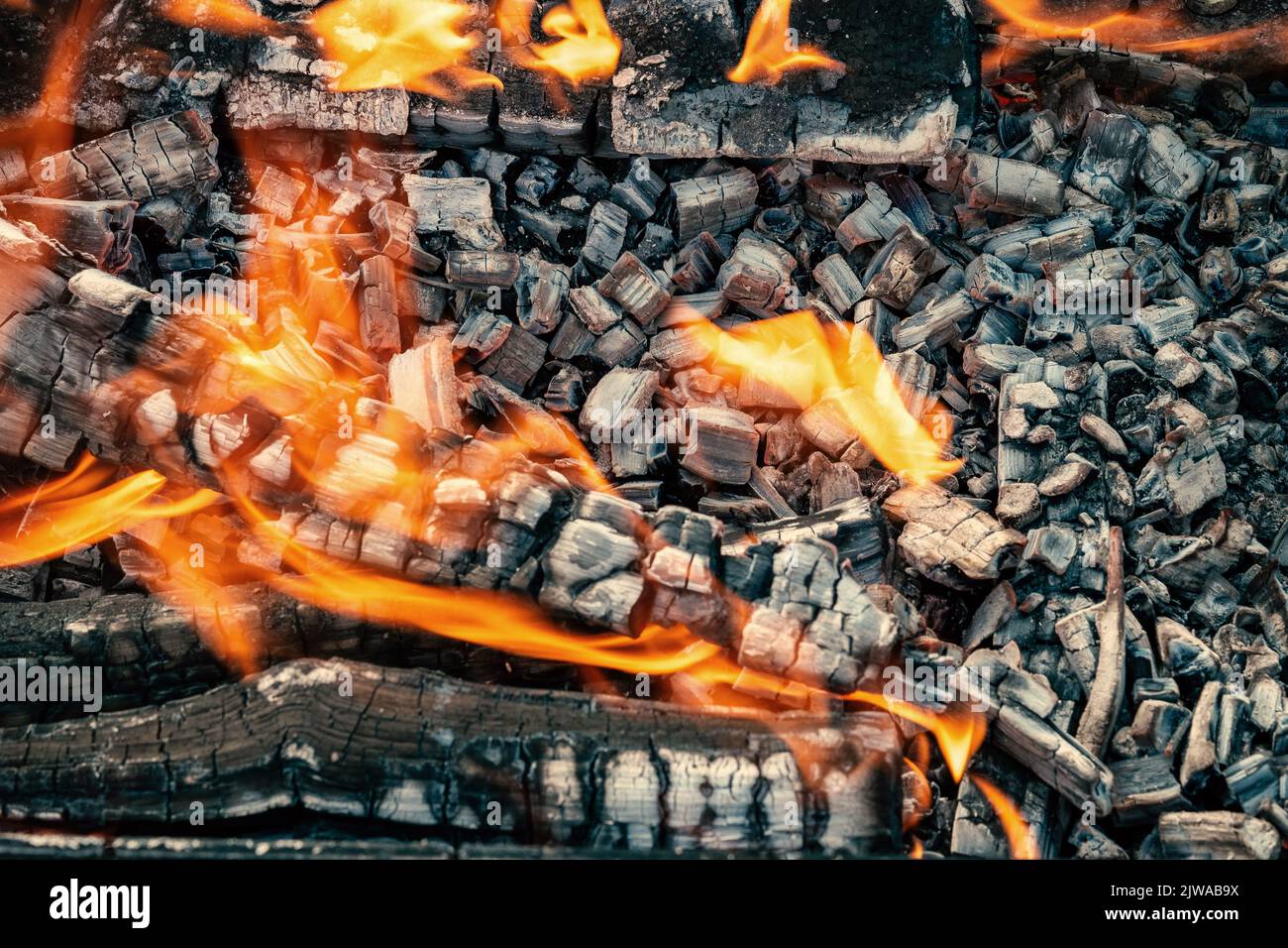 fire bonfire on coals Stock Photo Alamy