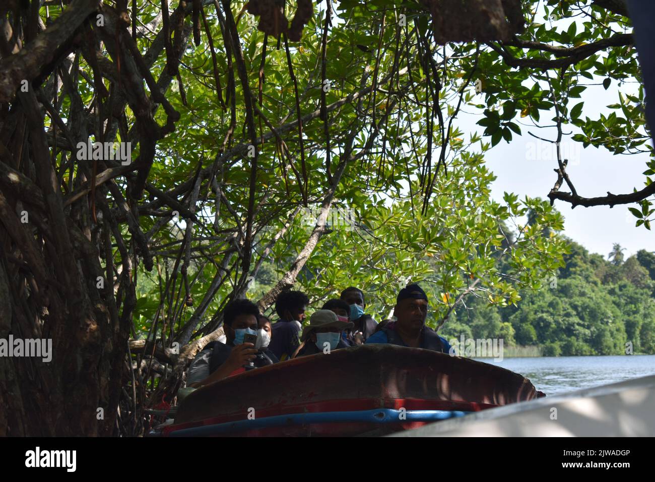 The Madu River Safari is popular activity that has to be on the to do list of any respectable Sri Lankan holiday goer. This unforgettable activity lasts for over two hours and gives a visitor a chance to travel the secretive passages through the mangrove forests and see the ecology. Madu Ganga is a minor watercourse which originates near Uragasmanhandiya in the Galle District of Sri Lanka, before widening into the Madu Ganga Lake at Balapitiya. The river then flows for a further a 4.4 km before draining into the Indian Ocean. It is located 88 km south of Colombo and 35 km north of Galle. Sri L Stock Photo