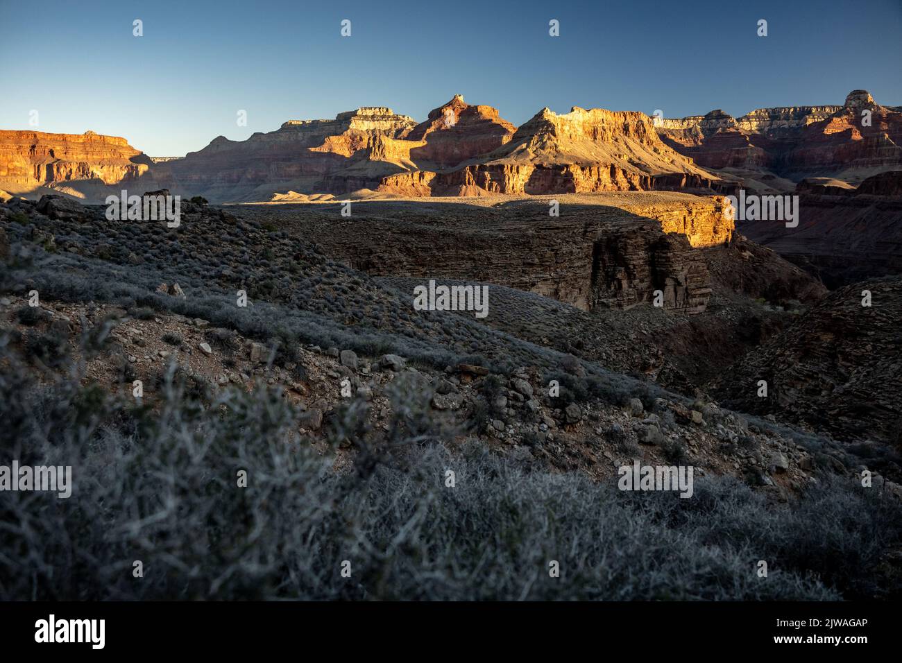 Rocky Layers Of The Grand Canyon In The Morning after a cold winter