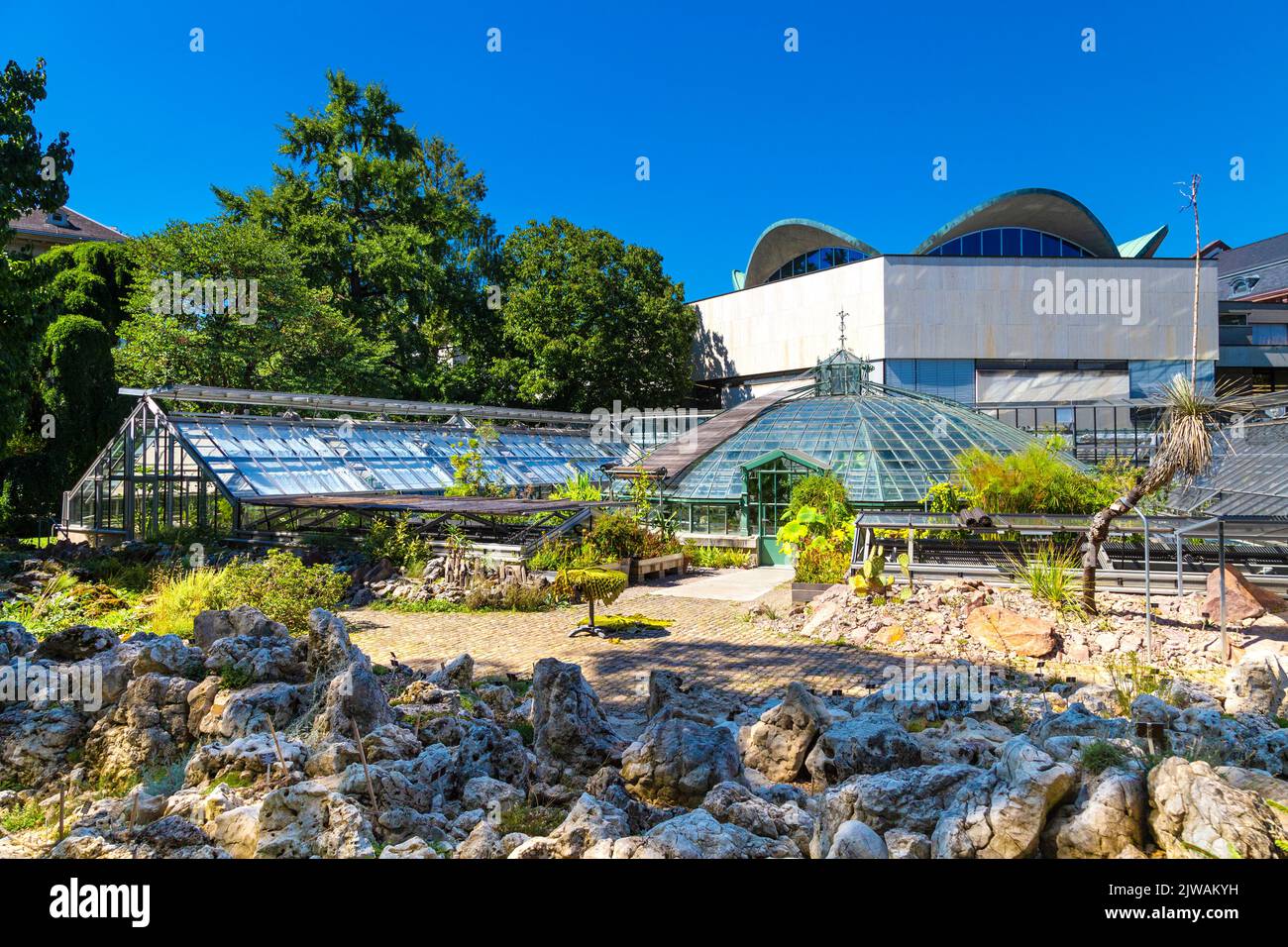 University of basel botanical garden hi-res stock photography and ...